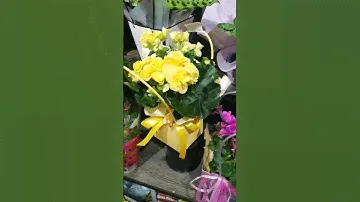 #beauty #nature #flowers